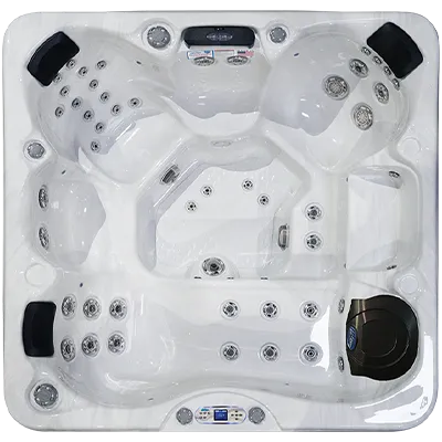 Avalon EC-849L hot tubs for sale in LeagueCity